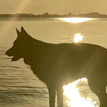 Ferienhaus Zwiehaaschkate Loissin