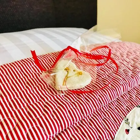 Zwiehaaschkate * Loissin